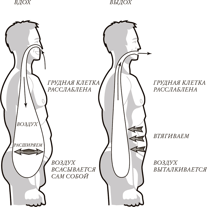 Базовая речевая разминка. Дыхание и артикуляция