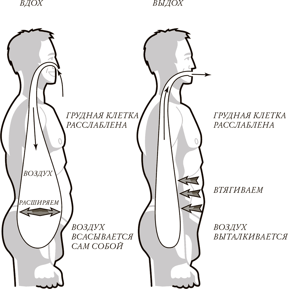 Схема дыхания диафрагмой